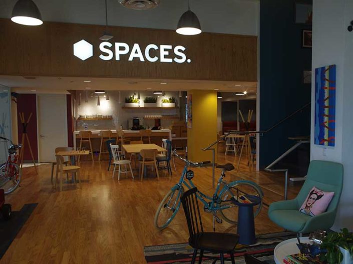 SPACES-feature